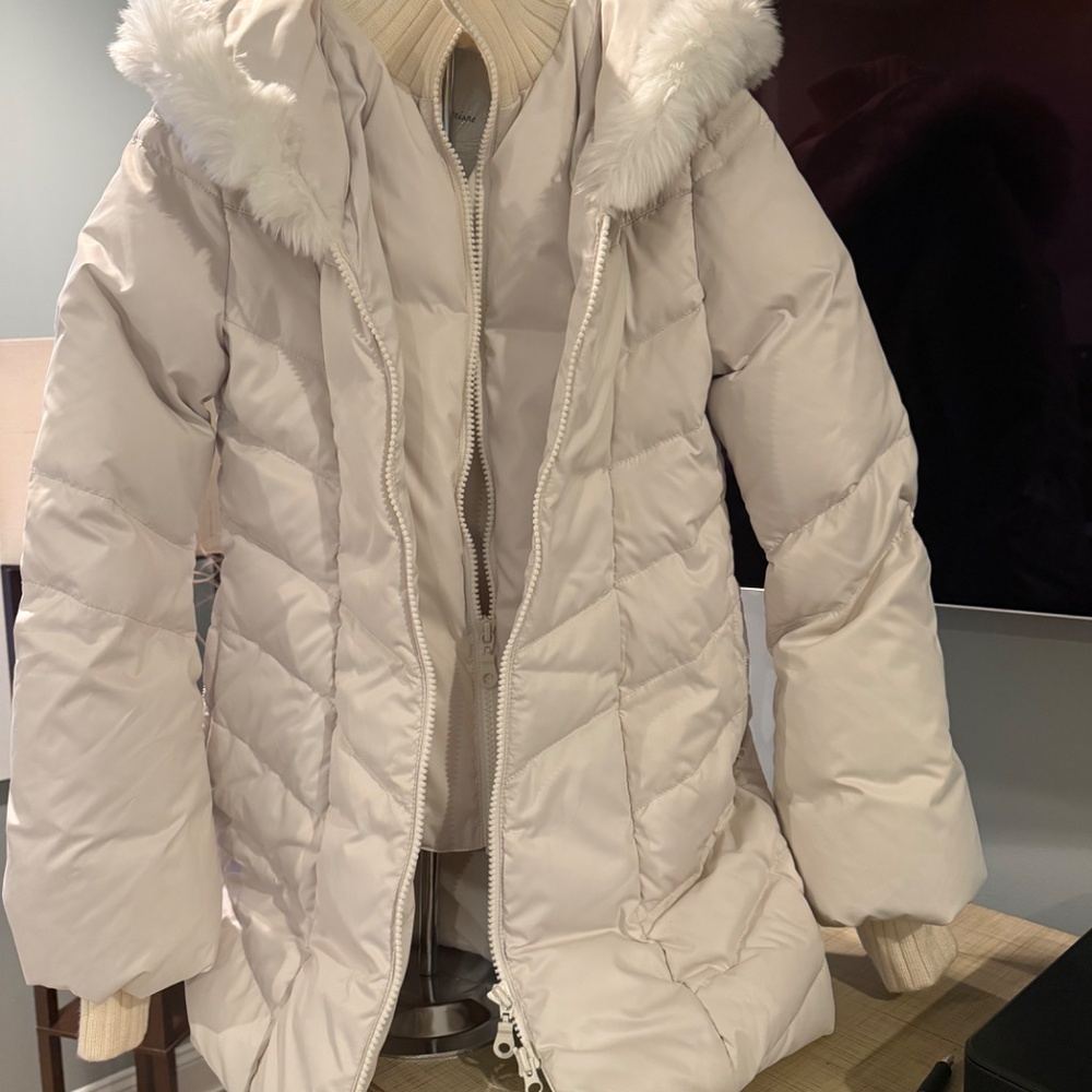 Puffer - Picture 2 of 8